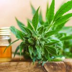 Benefits of CBD oil