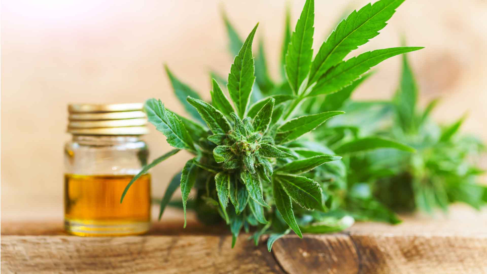 Benefits of CBD oil