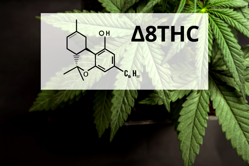 What is Delta 8 THC?