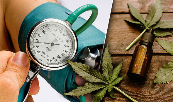 CBD and Blood Pressure