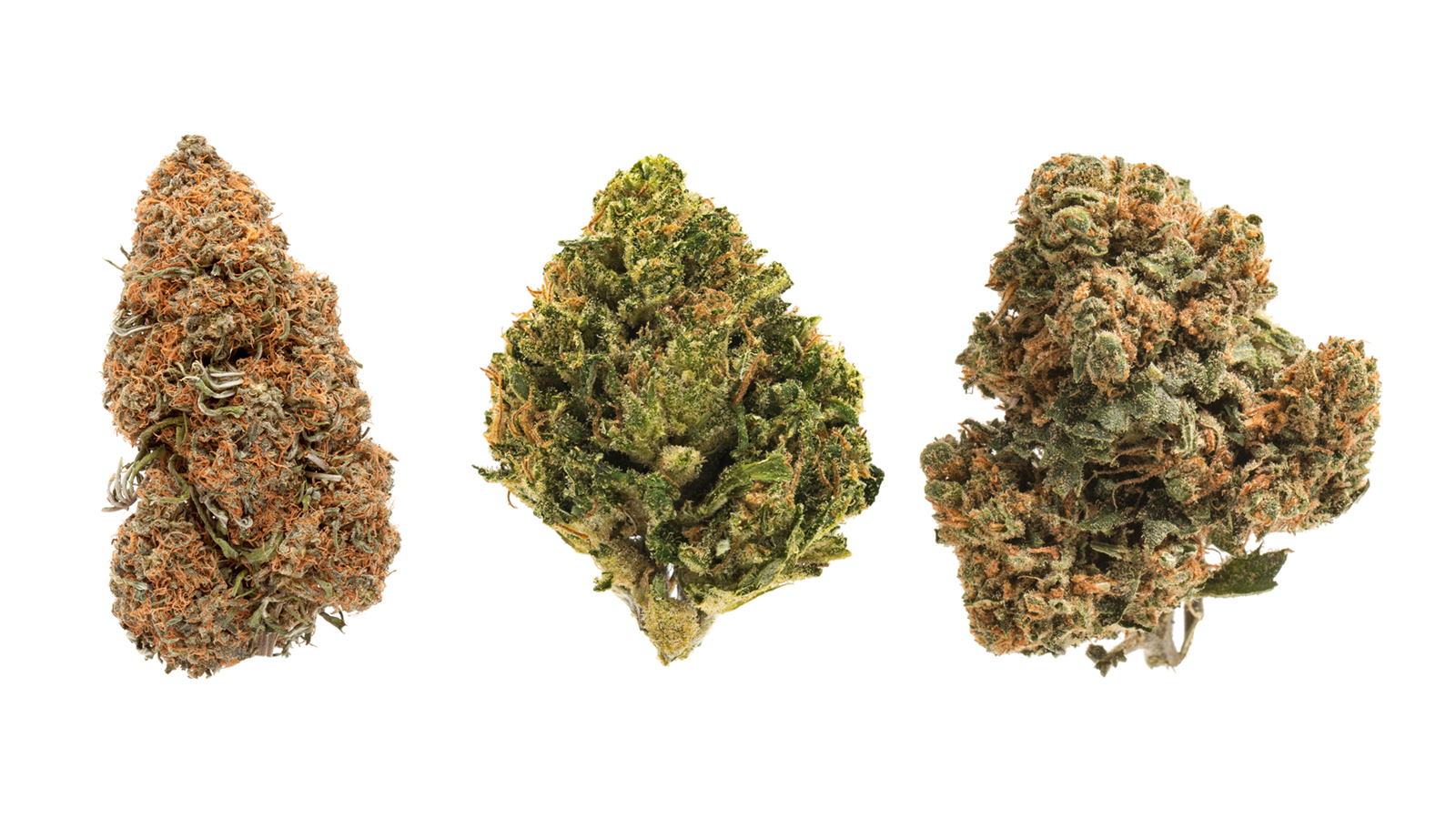 CBD Flower Strains