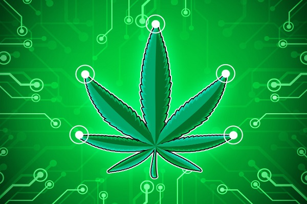 CannabisCryptocurrencies