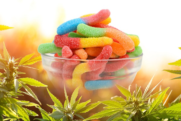 cbd-gummies