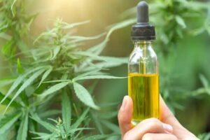 CBD Oil Insurance