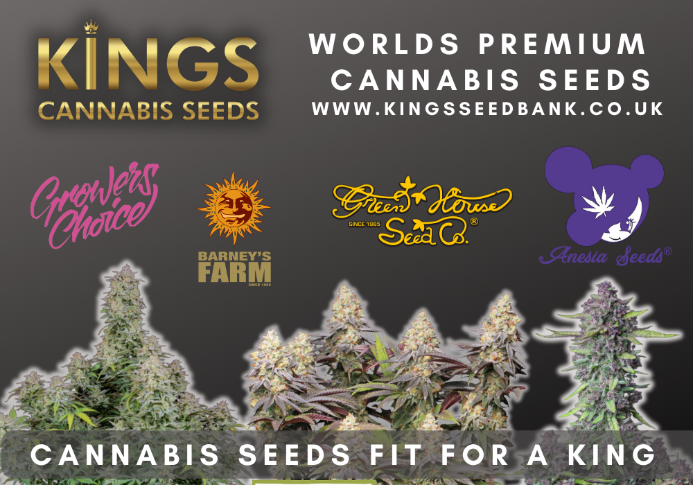 Buy cannabis seeds UK